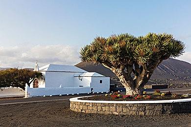 《野狗子》将在2024年有更多展示：明年是重要的一年