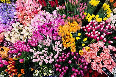 PS5推送新系统更新 再次提高了系统性能